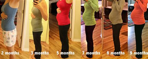 2 months pregnant.